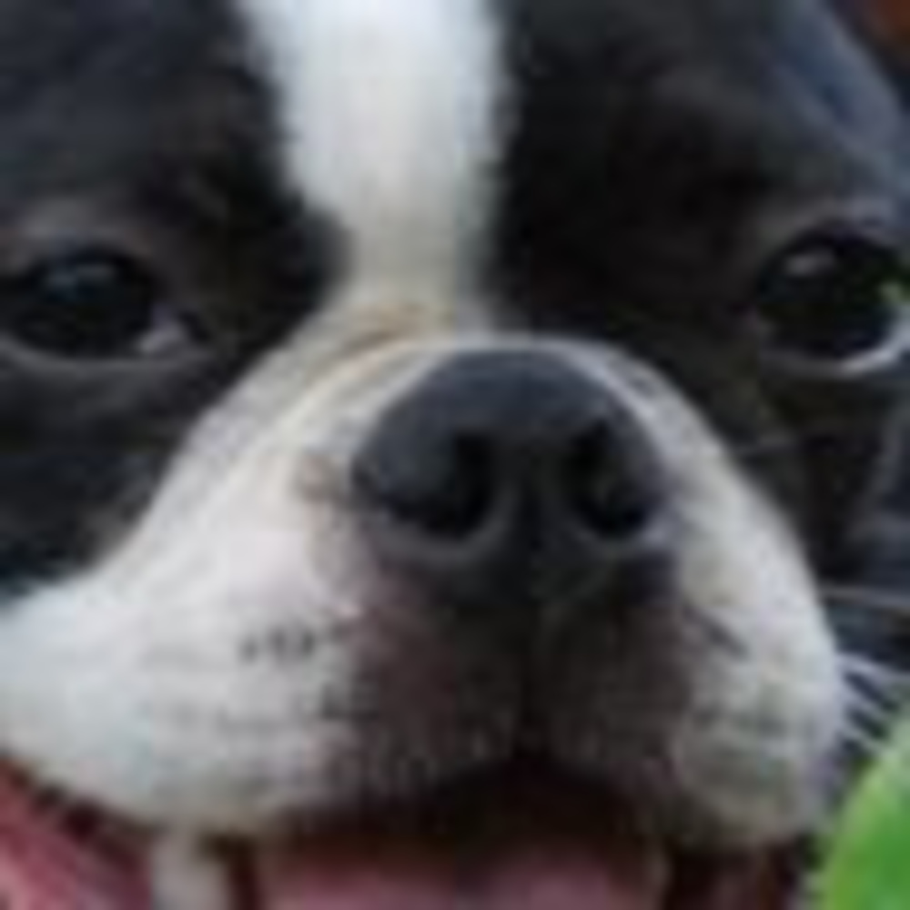 Meet your Posher, Mary